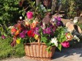 IMG_1081.JPG