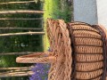 IMG_6595.JPG