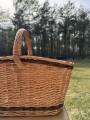IMG_3085.JPEG
